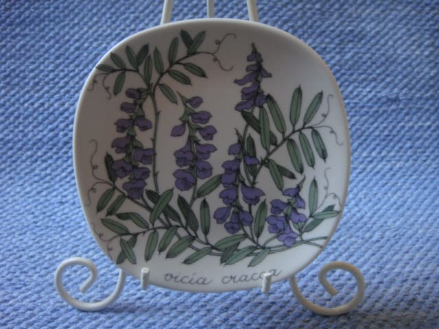 Pohjolan linnut  