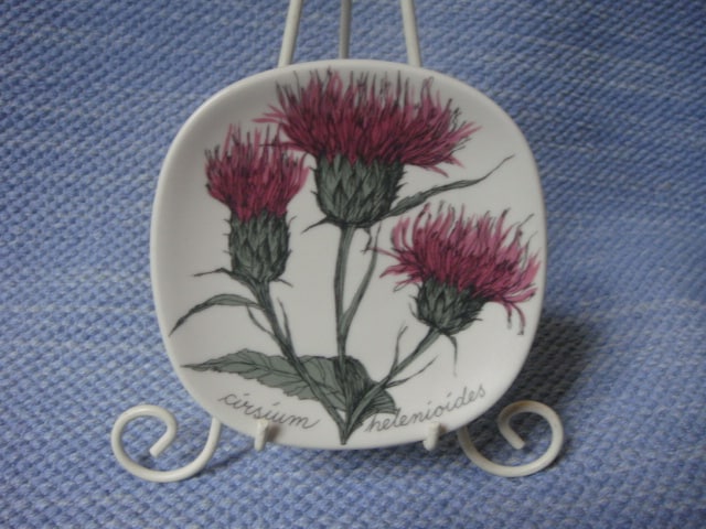 Huopaohdake, cirsium helenioides, Arabia 12 cm seinälautanen.