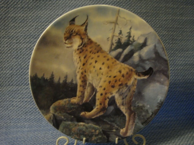 Ilves