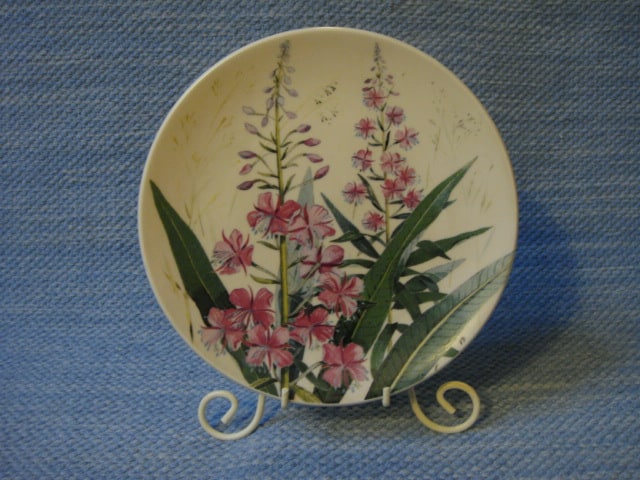Maitohorsma  