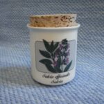 Maustepurkkki Salvia