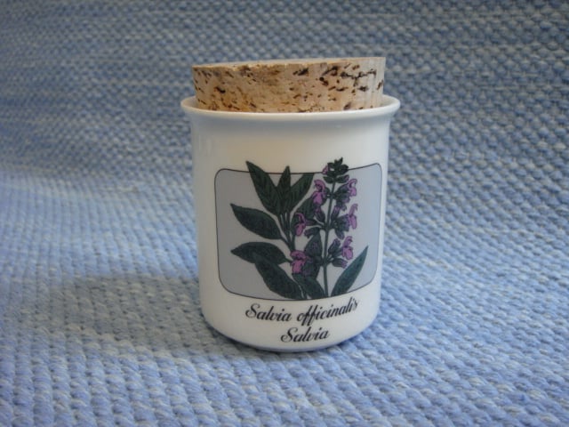 Maustepurkkki Salvia