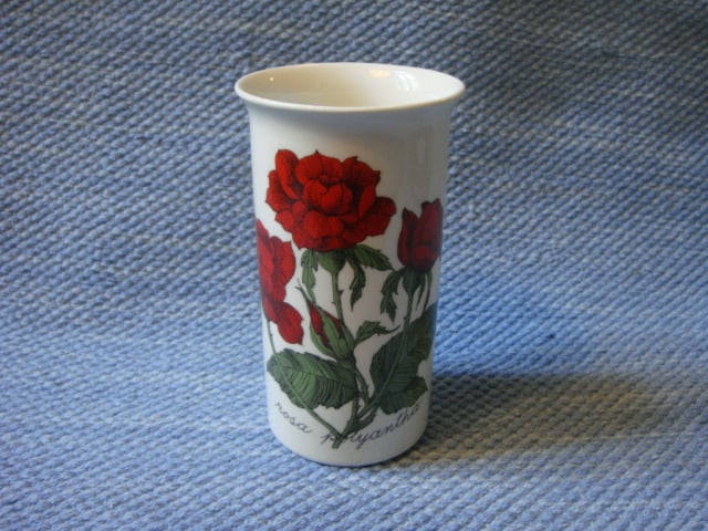 Rosa polyantha maljakko