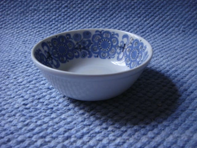 Orri sokerikko  