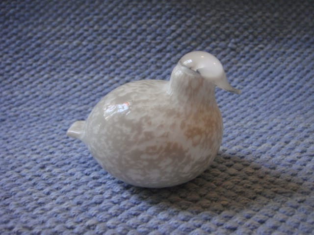 Toikan lasilintu