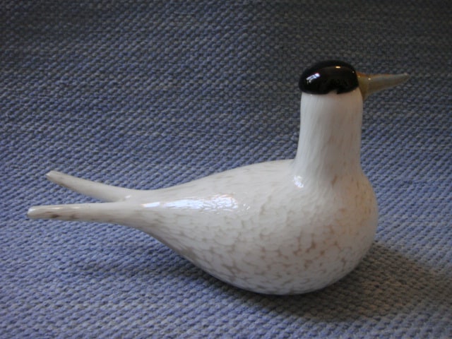 Toikan lasilintu