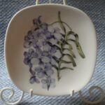 Vanda coerulea
