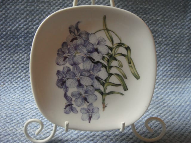 Vanda coerulea