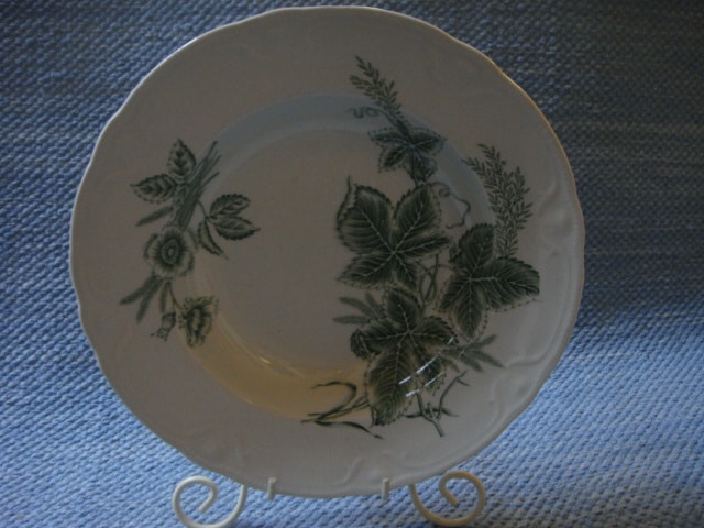 Vineta