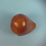 Punainen paja Pöllöpilli ruskea.