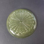 Riihimäki Riikinkukko lautanen 225 mm keltainen.