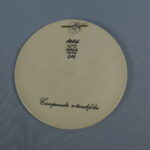 Arabia Campanula rotundifolia seinälautanen GOG.