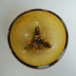 Kumela Taidelasimalja pronssijalalla.